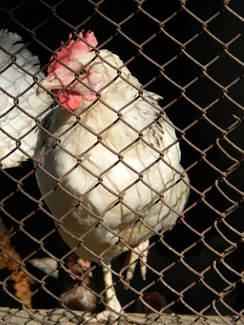 胡荷韬：齐心协力就能战胜一切，下场继续拼