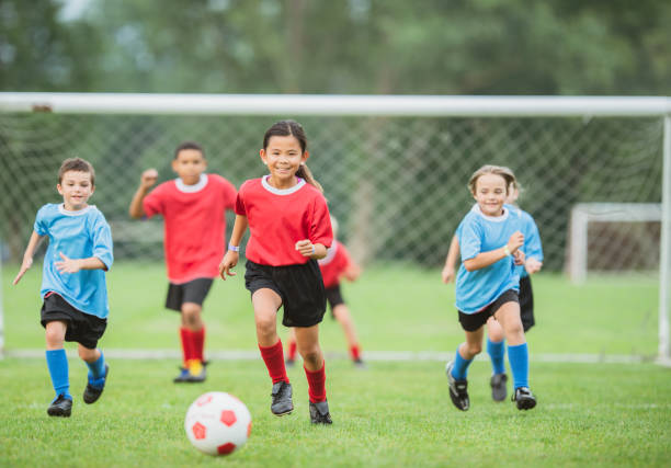 维希涅夫斯基：主场对阵荷兰是梦想，上场吃牌是因不懂规则