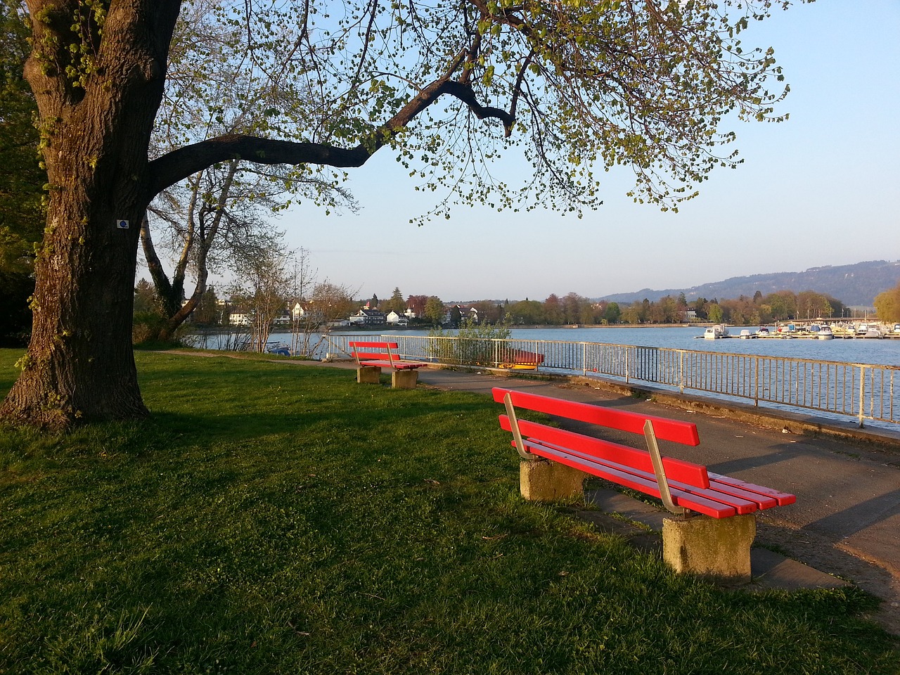 篮球火箭队内新星连续两场命中关键球